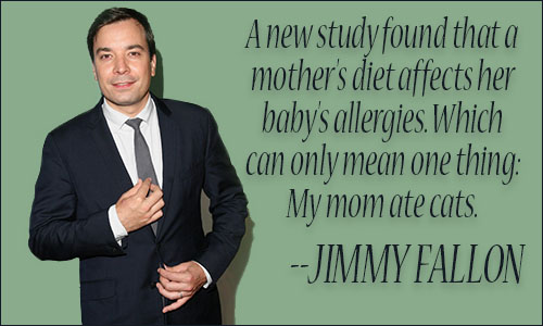 Jimmy Fallon quote